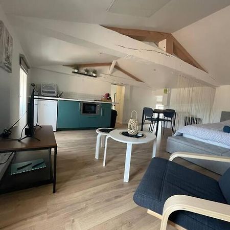 Studio Neuf Lumineux Climatise Бле Екстериор снимка